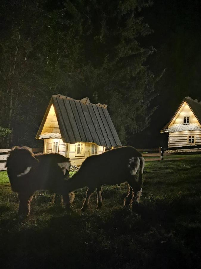 Zagroda Krowiarki Chocholow Exteriér fotografie